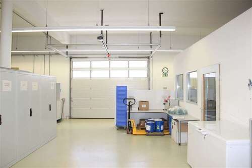 Foto - Halle in Nieder-Olm 2.100,00 € 280 m²