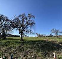 Grundstück zu verkaufen in Oberöfflingen 49.000,00 € 656 m²