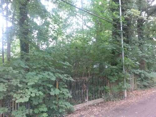 Foto - Grundstück zu verkaufen in Brandis 329.000,00 € 1162 m²