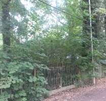 Grundstück zu verkaufen in Brandis 329.000,00 € 1162 m²