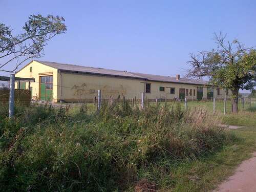 Foto - Spezialgewerbe in Linum 329.000,00 € 1150 m²