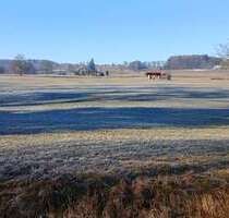 Grundstück zu verkaufen in Diessen 49.900,00 € 6816 m²