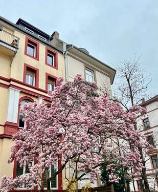 Foto - Haus zum Kaufen in Darmstadt 3.450.000,00 € 1362 m²
