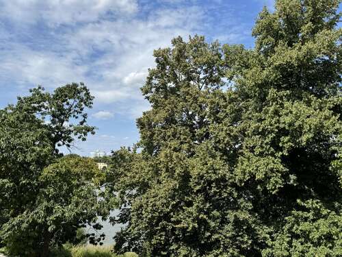 Foto - Wohnung zum Mieten in Münster 2.490,00 € 113 m²