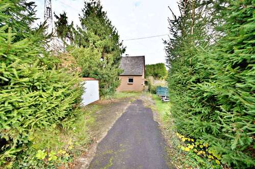 Foto - Grundstück zu verkaufen in Bornheim 500.000,00 € 1000 m²