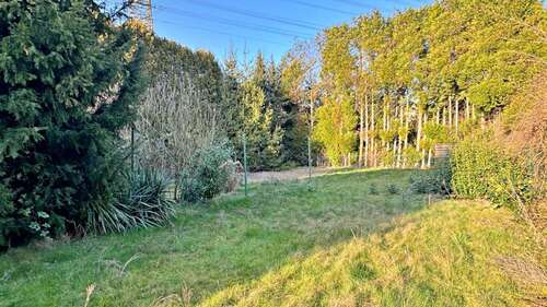 Foto - Grundstück zu verkaufen in Bornheim 500.000,00 € 1000 m²