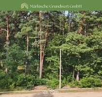Grundstück zu verkaufen in Borkheide 169.000,00 € 1361 m²