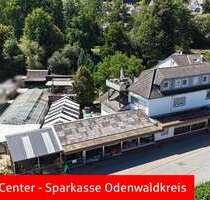 Haus zum Kaufen in Erbach 540.000,00 € 257.71 m²