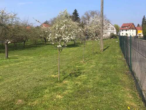 Foto - Grundstück zu verkaufen in Affalterbach 1.100.000,00 € 2609 m²