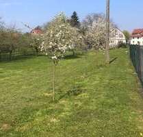 Grundstück zu verkaufen in Affalterbach 1.100.000,00 € 2609 m²