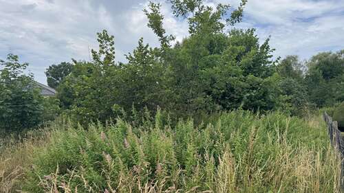 Foto - Grundstück zu verkaufen in Cottbus 250.000,00 € 2764 m²