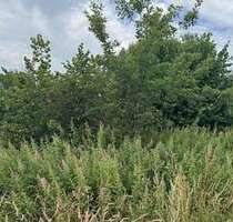 Grundstück zu verkaufen in Cottbus 250.000,00 € 2764 m²