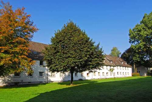 Foto - Wohnung zum Mieten in Gelsenkirchen 329,00 € 46.97 m²