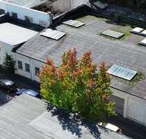 Halle in Wuppertal 379.000,00 € 645 m²