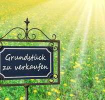 Grundstück zu verkaufen in Lübbecke 65.000,00 € 1009 m²