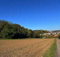 Haus zum Kaufen in Weissach 884.500,00 € 164 m² Haus zum Kaufen in Weissach 884.500,00 € 164 m²