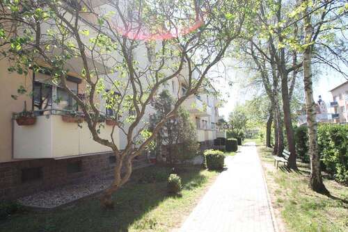 Foto - Wohnung zum Mieten in Wettin-Löbejün 350,00 € 50 m²