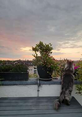 Foto - Wohnung zum Kaufen in Bergisch Gladbach 710.000,00 € 192 m²