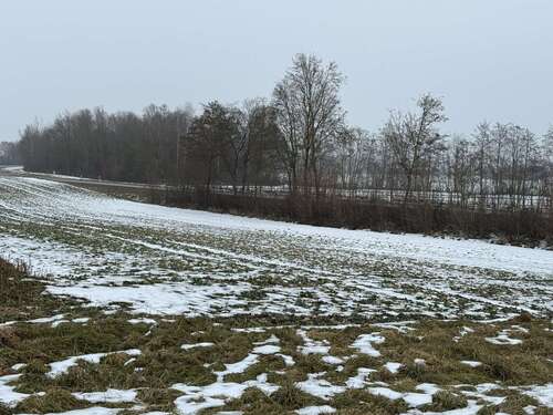 Foto - Grundstück in Wörth an der Isar 35.657,00 € 2026 m²