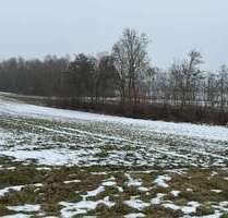 Grundstück in Wörth an der Isar 35.657,00 € 2026 m²