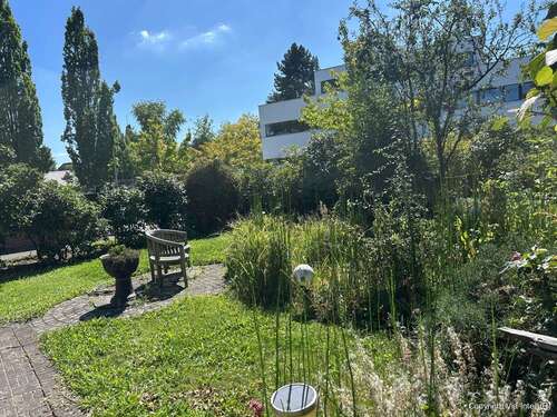 Foto - Wohnung zum Mieten in Frechen Königsdorf 625,00 € 39 m²