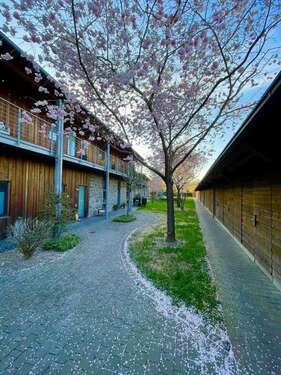 Foto - Wohnung zum Kaufen in Lich 425.000,00 € 96 m²