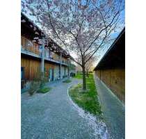 Wohnung zum Kaufen in Lich 425.000,00 € 96 m²