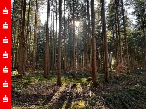 Foto - Grundstück in Otterfing 676.500,00 € 56354 m²