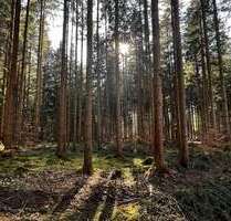 Grundstück in Otterfing 676.500,00 € 56354 m²