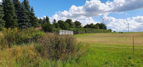 Foto - Grundstück zu verkaufen in Gem. BriesenOT Biegen 78.000,00 € 1090 m²