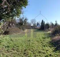 Grundstück zu verkaufen in Brehna 150.000,00 € 1975 m²
