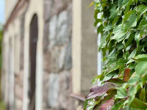 Foto - Haus zum Kaufen in Angermünde 245.000,00 € 130 m²