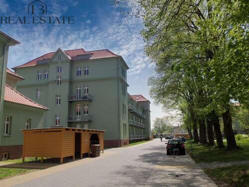 Foto - Wohnung zum Mieten in Magdeburg 310,00 € 47.46 m²