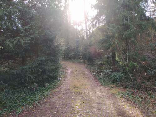 Foto - Grundstück zu verkaufen in Wedemark 650.000,00 € 2728 m²