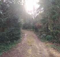 Grundstück zu verkaufen in Wedemark 300.000,00 € 1364 m²