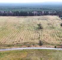 Grundstück zu verkaufen in Münchehofe 99.000,00 € 1040 m²