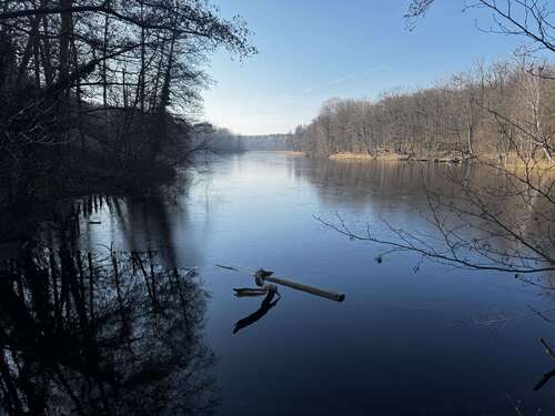 Foto - Wohnung zum Kaufen in Berlin 276.000,00 € 53 m²