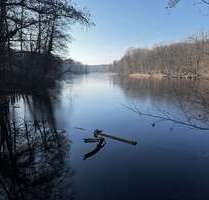Wohnung zum Kaufen in Berlin 276.000,00 € 53 m²