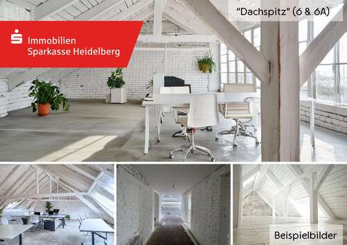 Foto - Büro in Heidelberg 3.536,00 € 208 m²