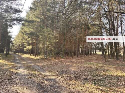 Foto - Grundstück zu verkaufen in Märkische Heide 20.401,00 € 20401 m²
