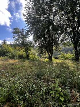 Foto - Grundstück zu verkaufen in Wörth an der Donau 239.000,00 € 848 m²