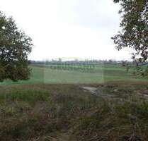 Spezialgewerbe in Haage 130.000,00 € 103803 m²