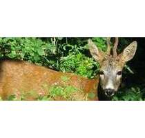 Grundstück zu verkaufen in Stromberg 125.000,00 € 680 m²