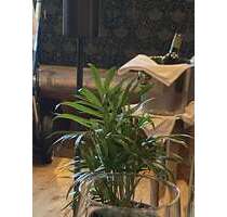 Gastronomie in Kelkheim 1.150.000,00 € 635 m²