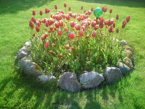 Foto - Grundstück zu verkaufen in Niedernhausen 295.000,00 € 360 m²