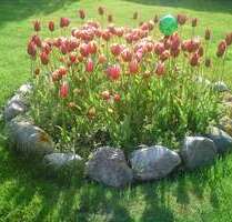 Grundstück zu verkaufen in Niedernhausen 295.000,00 € 360 m²