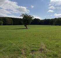 Grundstück in Kircheib Neuenhof 24.000,00 € 4117 m² - Kircheib / Neuenhof