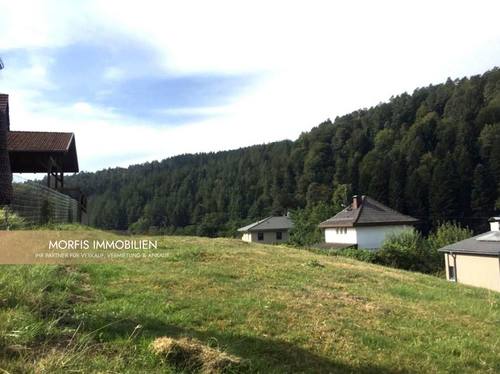 Foto - Grundstück zu verkaufen in Oberzent 149.000,00 € 1444 m²