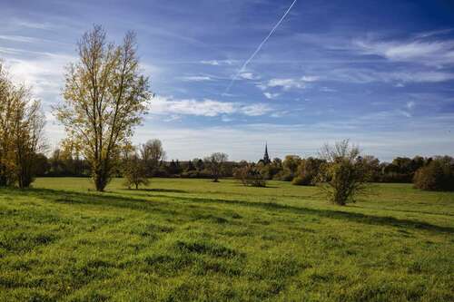 Foto - Grundstück zu verkaufen in Geltow 337.150,00 € 613 m²