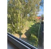 Wohnung zum Mieten in Salzgitter 340,00 € 55 m²